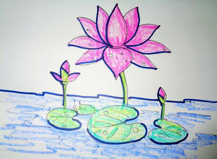 Comment dessiner un lotus: Guide du débutant